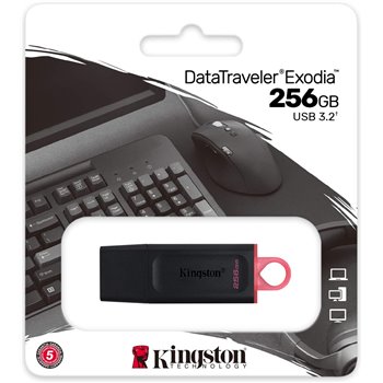 Clé USB Kingston DataTraveler Exodia 256 Go - USB 3.2 Gen 1 - Avec couvercle - Clip porte-clés - Couleur noire (Pendrive)