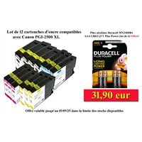 Lot de 8 Cartouches compatibles CANON PGI-2500 XL