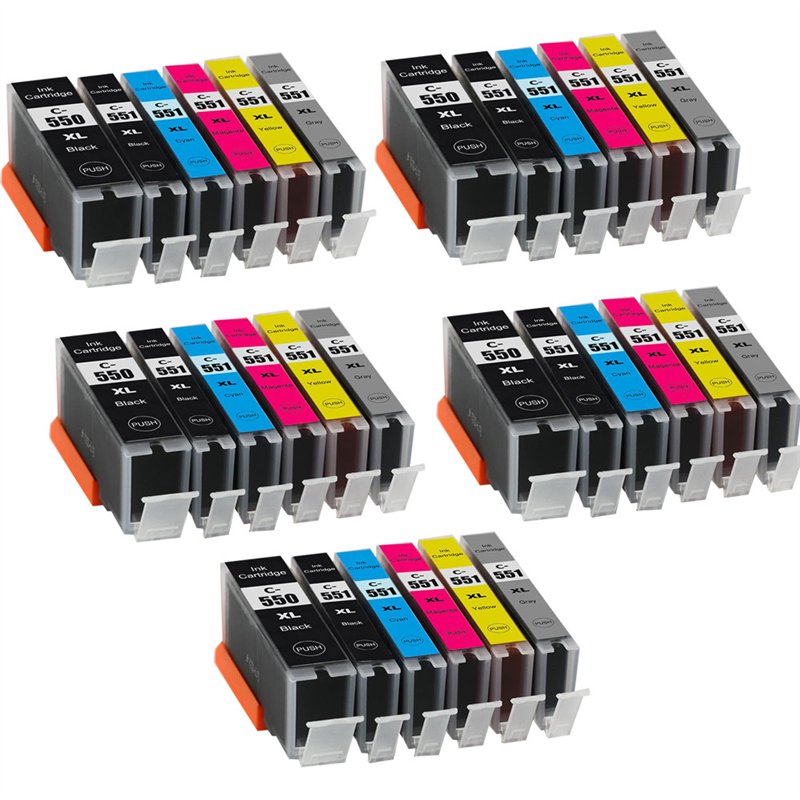 Lot de 30 Cartouches Compatibles pour Canon PGI550/CLI551GY (avec puce)