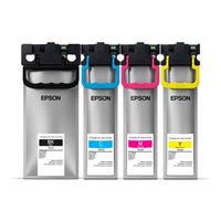 Epson T01